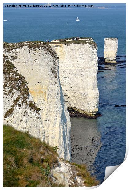 Old Harry Print by mike wingrove