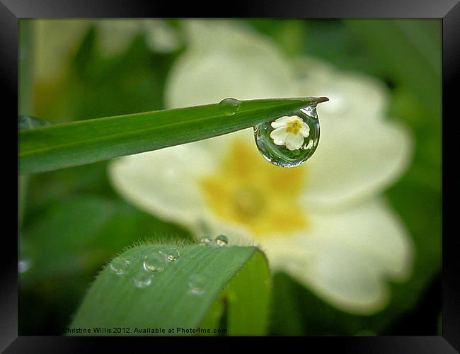 It's Raining Flowers Framed Print by Christine Johnson