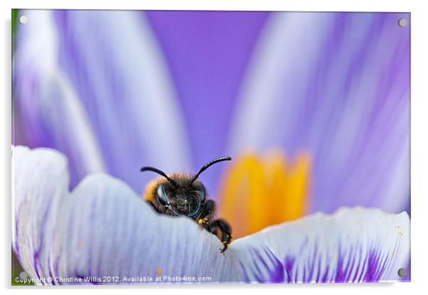Spring Bee Acrylic by Christine Johnson