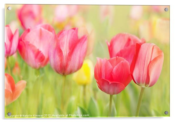 Artistic Tulips Acrylic by Natalie Kinnear