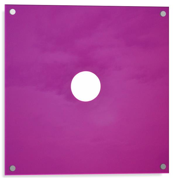 Purple Haze Acrylic by Darrin Collett
