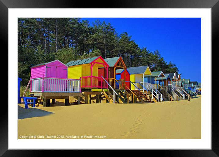 Beach Huts and Pine Trees 2 Framed Mounted Print by Chris Thaxter