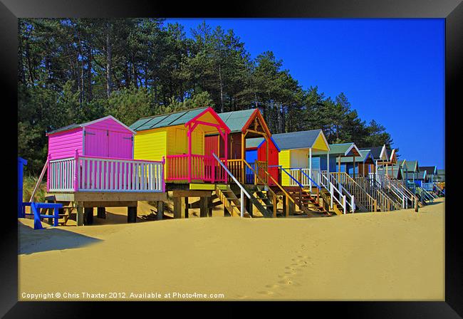Beach Huts and Pine Trees 2 Framed Print by Chris Thaxter