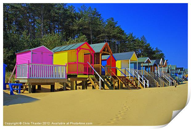 Beach Huts and Pine Trees 2 Print by Chris Thaxter