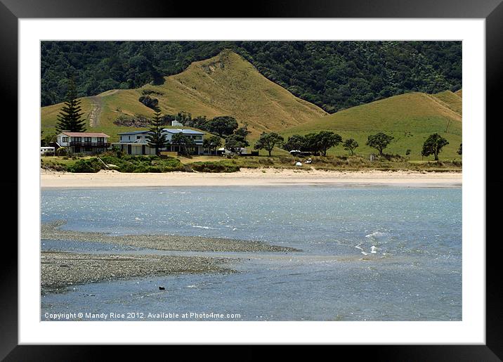 Beach houses Coromandel NZ Framed Mounted Print by Mandy Rice