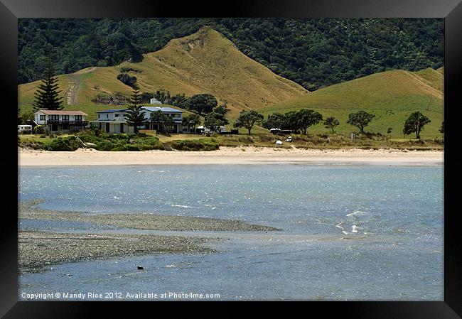 Beach houses Coromandel NZ Framed Print by Mandy Rice