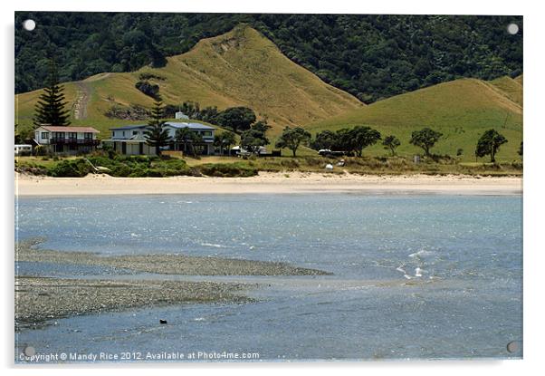 Beach houses Coromandel NZ Acrylic by Mandy Rice