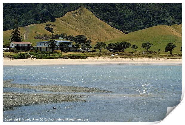 Beach houses Coromandel NZ Print by Mandy Rice