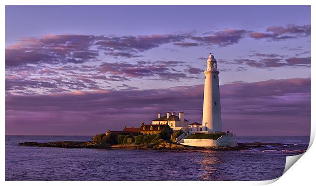 St Marys Lighthouse and Island Print by Kevin Tate