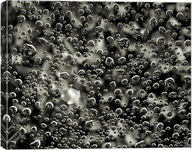 raindrops and pebbles Canvas Print by Heather Newton