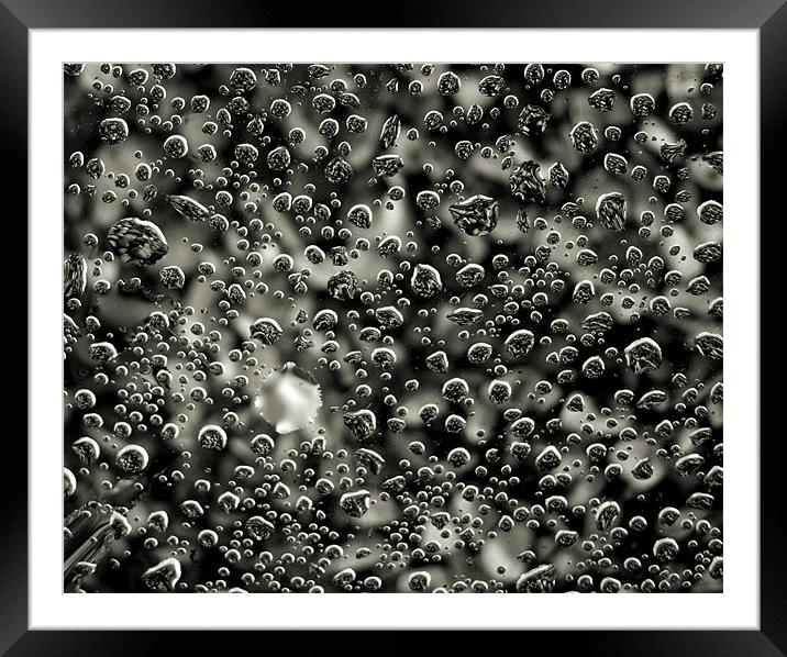 raindrops and pebbles Framed Mounted Print by Heather Newton