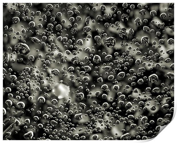 raindrops and pebbles Print by Heather Newton