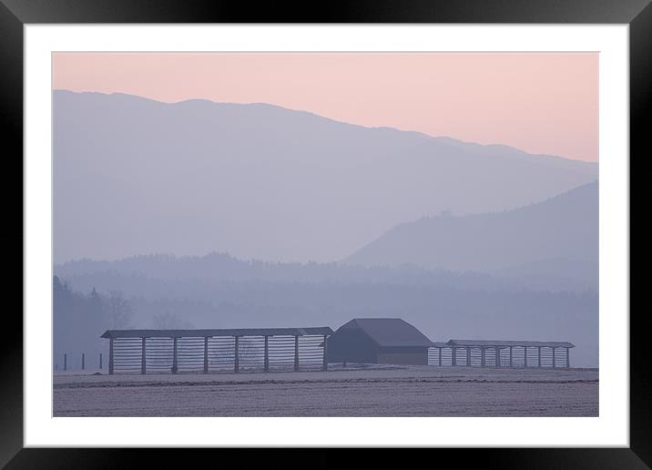 Winter sunrise Framed Mounted Print by Ian Middleton