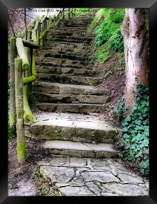 Rustic Steps Framed Print by Nicola Clark