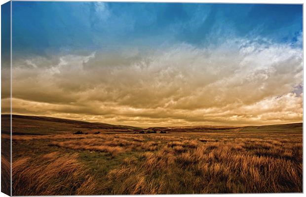 Cat & Fiddle view Derbyshire Canvas Print by Paul Fisher