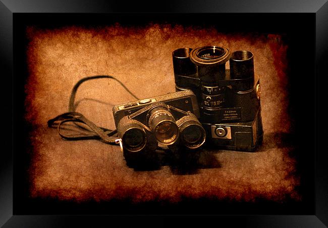 Spy cams Framed Print by Maria Tzamtzi Photography