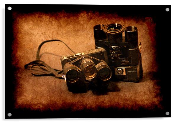 Spy cams Acrylic by Maria Tzamtzi Photography