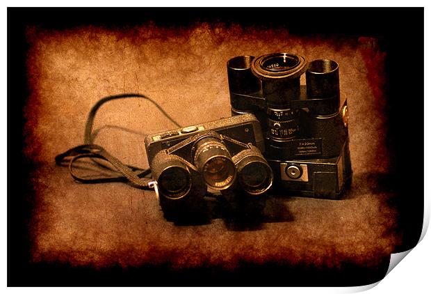 Spy cams Print by Maria Tzamtzi Photography
