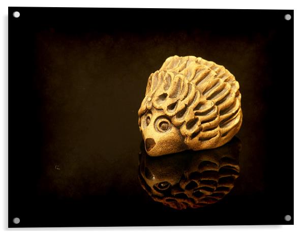 Henry the shiny Hedgehog Acrylic by Maria Tzamtzi Photography
