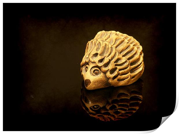 Henry the shiny Hedgehog Print by Maria Tzamtzi Photography