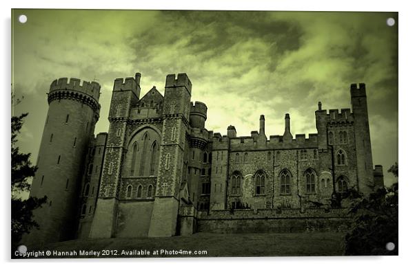 Arundel Castle Acrylic by Hannah Morley