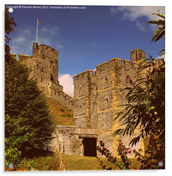 Arundel Castle Acrylic by Hannah Morley