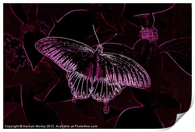 Pink Neon Butterfly Print by Hannah Morley