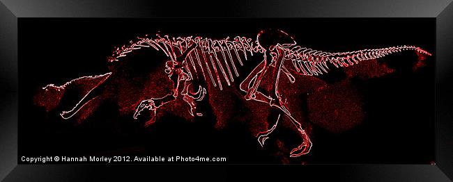 Baryonyx Dinosaur Skeleton Framed Print by Hannah Morley