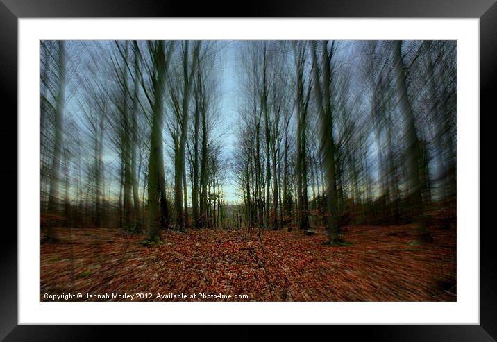 Friston Forest Framed Mounted Print by Hannah Morley