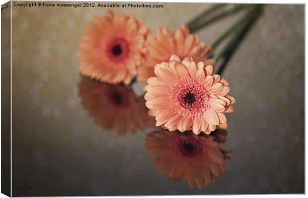 Orange Reflected Canvas Print by Fiona Messenger