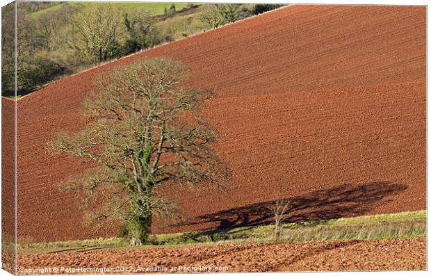 Tree against Devon red soil Canvas Print by Pete Hemington