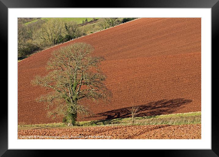 Tree against Devon red soil Framed Mounted Print by Pete Hemington