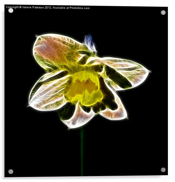 Fractalius Daffodil Acrylic by Valerie Paterson