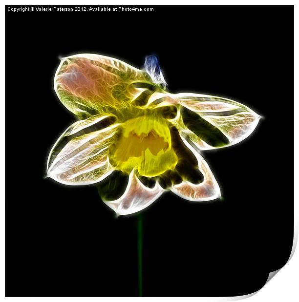 Fractalius Daffodil Print by Valerie Paterson