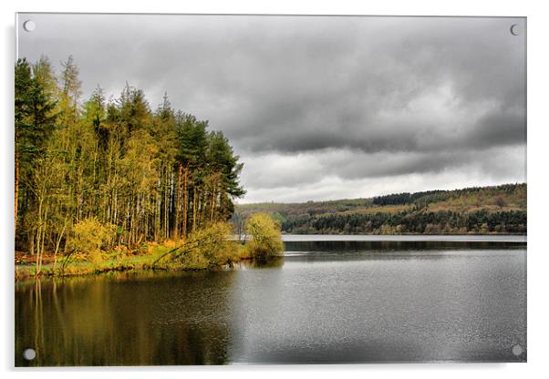Fewston Reservoir, North Yorkshire Acrylic by Sandi-Cockayne ADPS