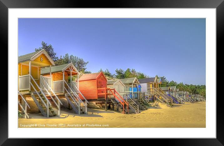 Beach Huts and Pine Trees 3 Framed Mounted Print by Chris Thaxter