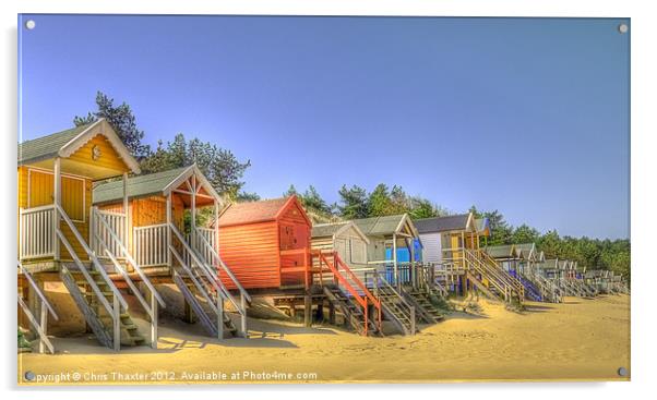 Beach Huts and Pine Trees 3 Acrylic by Chris Thaxter