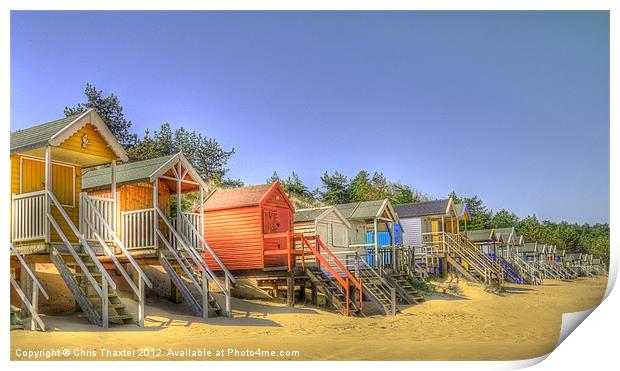 Beach Huts and Pine Trees 3 Print by Chris Thaxter