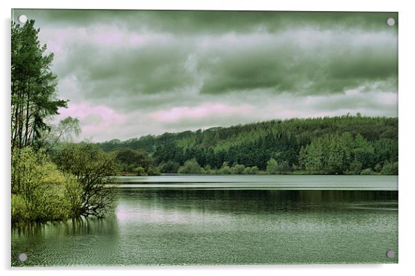 Fewston Reservoir Acrylic by Maria Tzamtzi Photography