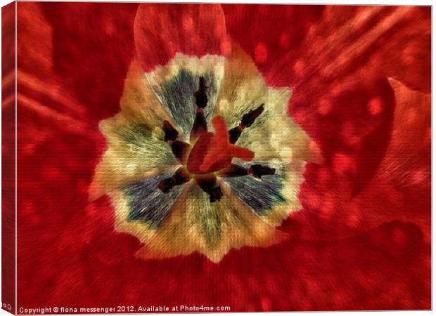 Red Tulip Abstract Canvas Print by Fiona Messenger