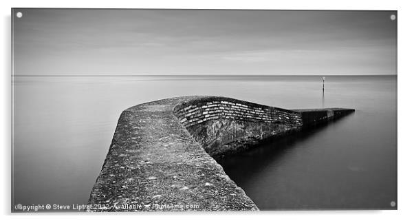 Sidmouth, Devon Acrylic by Steve Liptrot