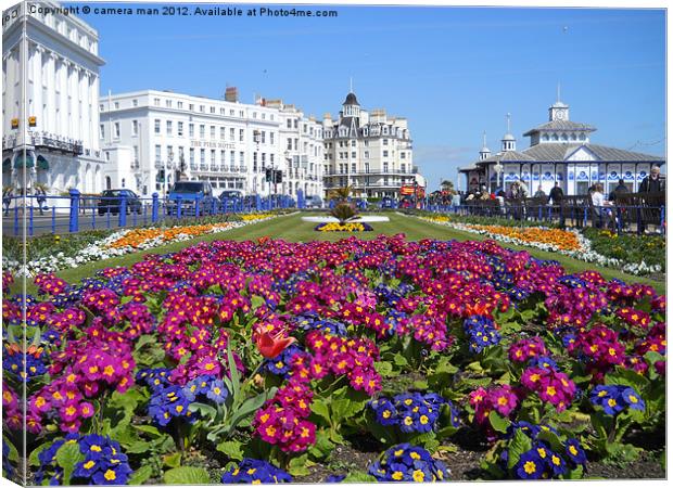 Carpet Gardens Canvas Print by camera man