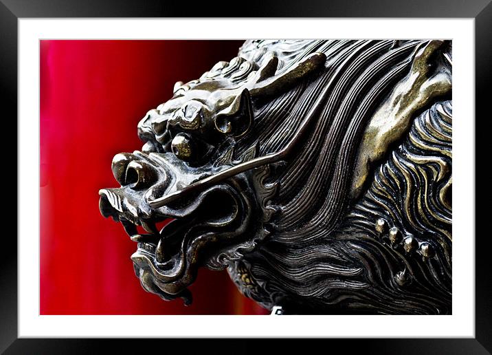Dragon Framed Mounted Print by Kim Vetten