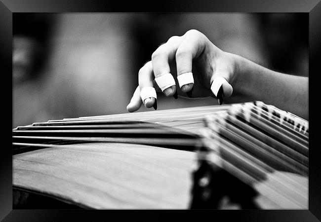 Guzheng Musical Instrument Framed Print by Kim Vetten