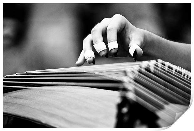 Guzheng Musical Instrument Print by Kim Vetten
