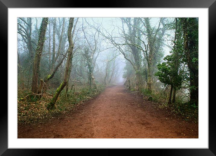 Foggy Woodland Trail Framed Mounted Print by Julie Hoddinott