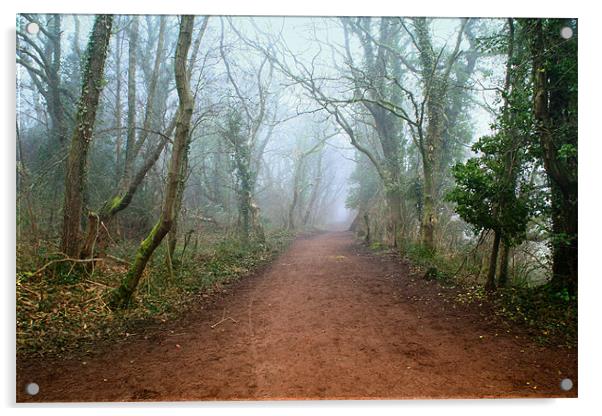 Foggy Woodland Trail Acrylic by Julie Hoddinott