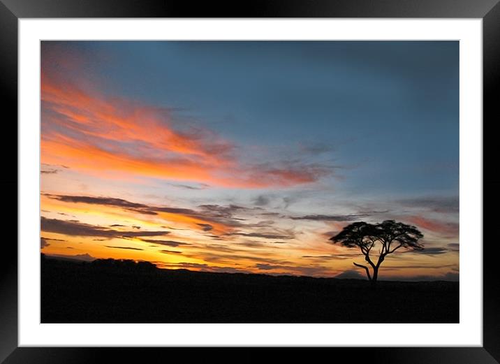 Under An African Sky Framed Mounted Print by Jacqi Elmslie