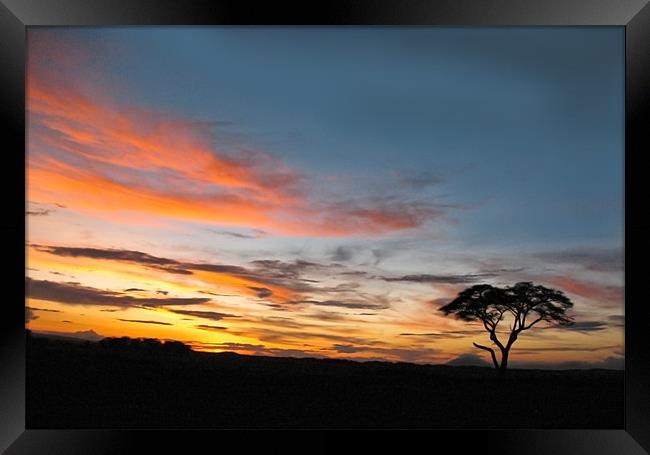 Under An African Sky Framed Print by Jacqi Elmslie