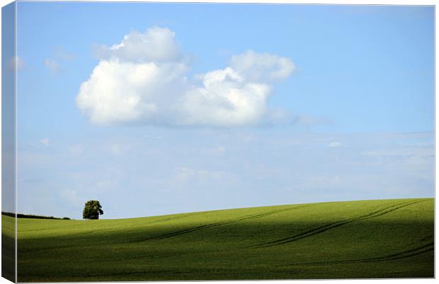 Alone on a Hill Canvas Print by graham young